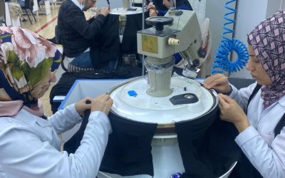 0d34b35b-784f-4874-80df-3660d83ce396