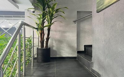 WhatsApp Image 2021-12-15 at 12.16.29 (1)